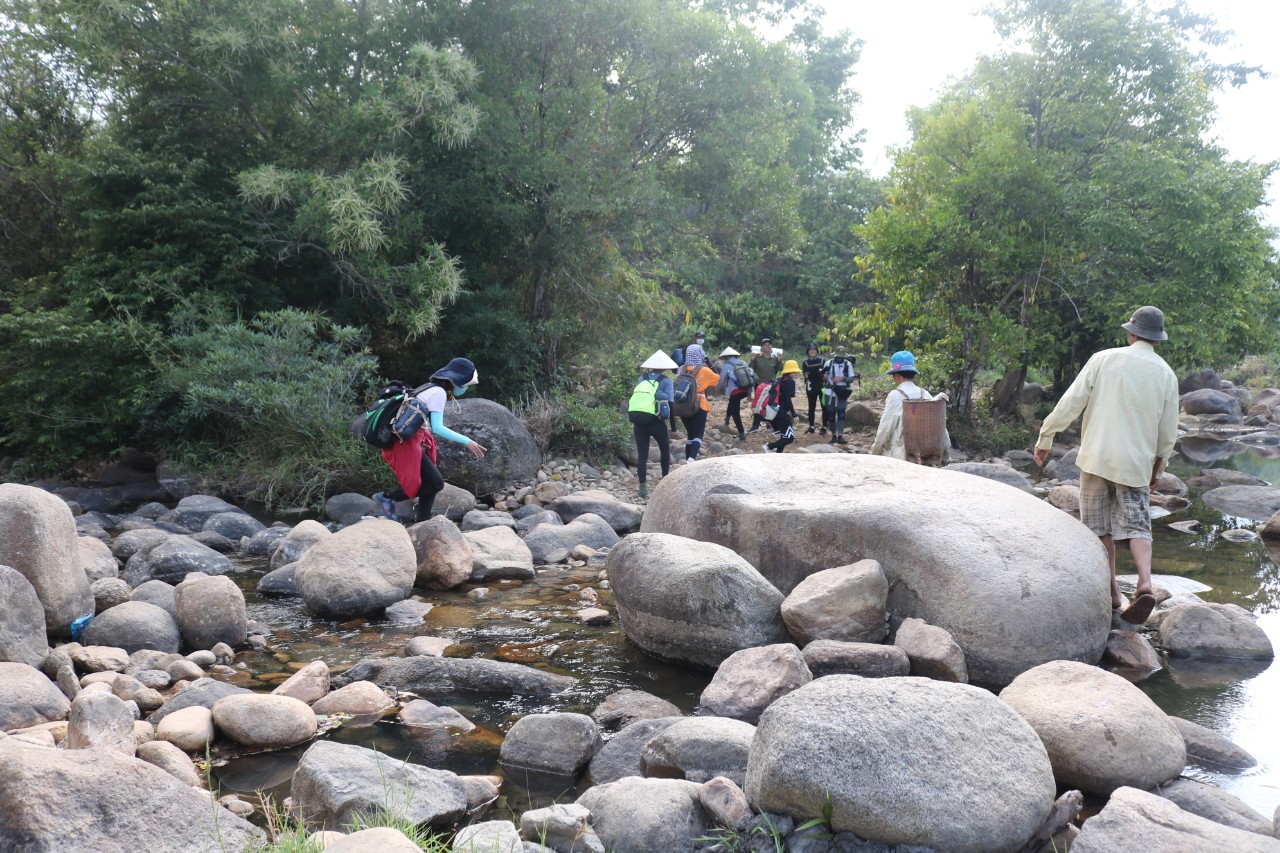 590342d2006fce31977e