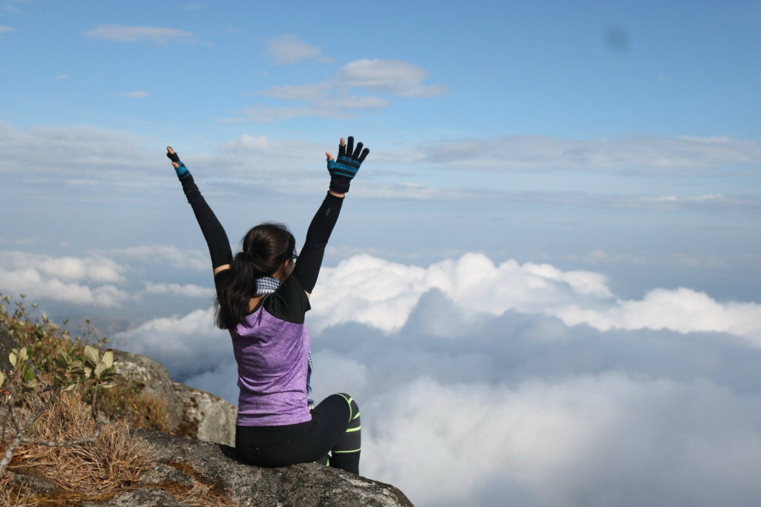 ae4e41010ebcc0e299ad