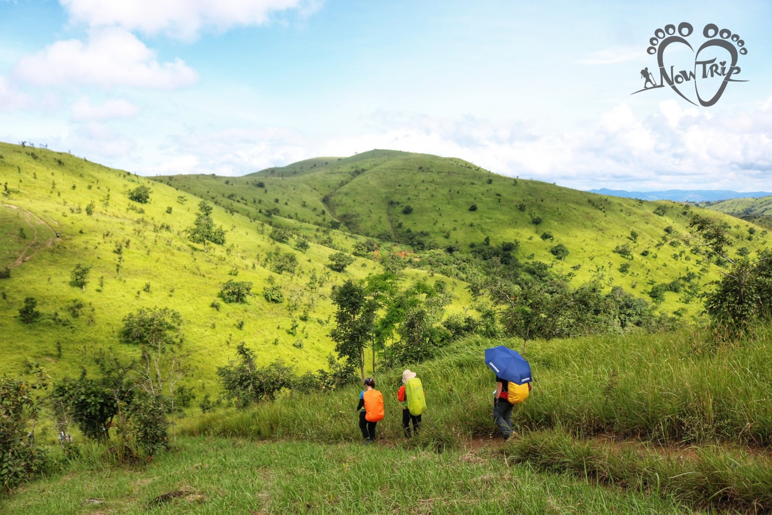 Thảo Nguyên Du Mục
